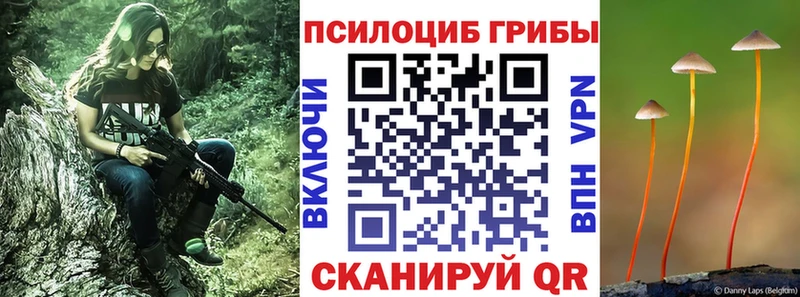 Псилоцибиновые грибы Psilocybine cubensis Красноуфимск